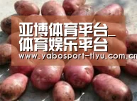 产品展示标题5(图1)