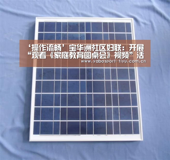 ‘操作流畅’宝华洲社区妇联:开展“观看《家庭教育圆桌会》视频”活动(图4) 亚博官网