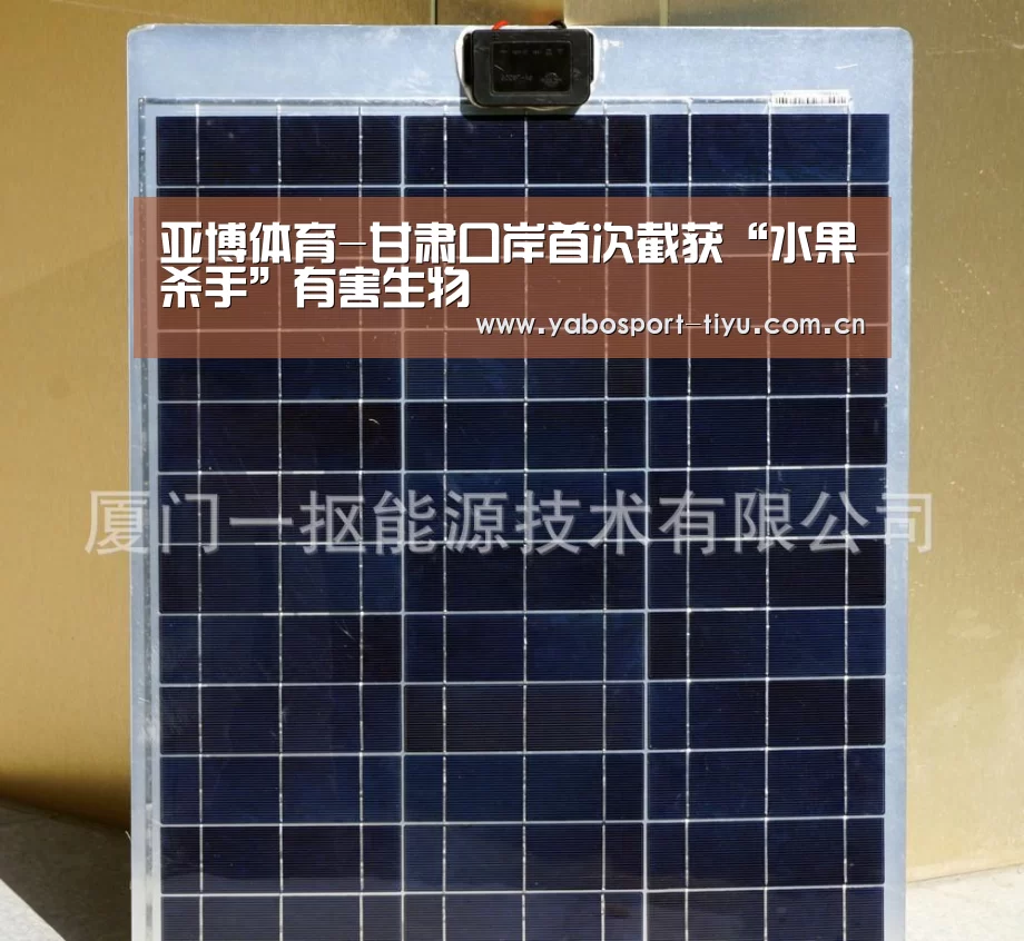 亚博体育-甘肃口岸首次截获“水果杀手”有害生物(图2) 亚博体育